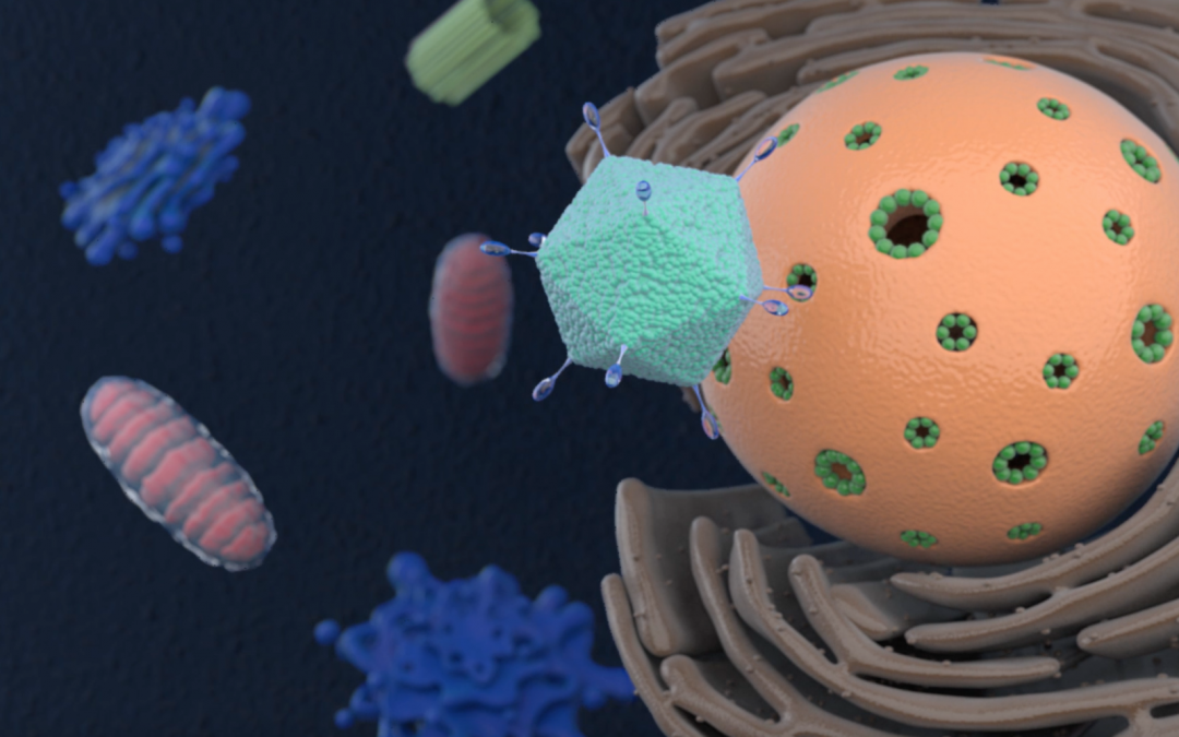 Virus che fanno da vaccini