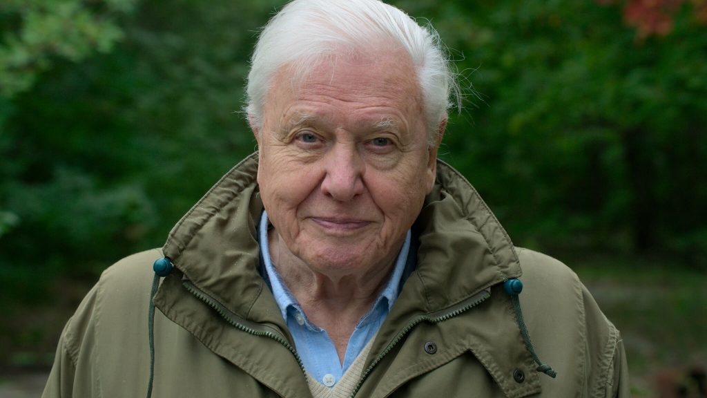 David Attenborough David Attenborough