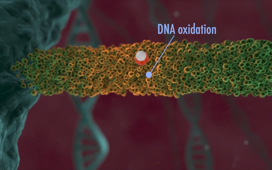 dna-oxidation
