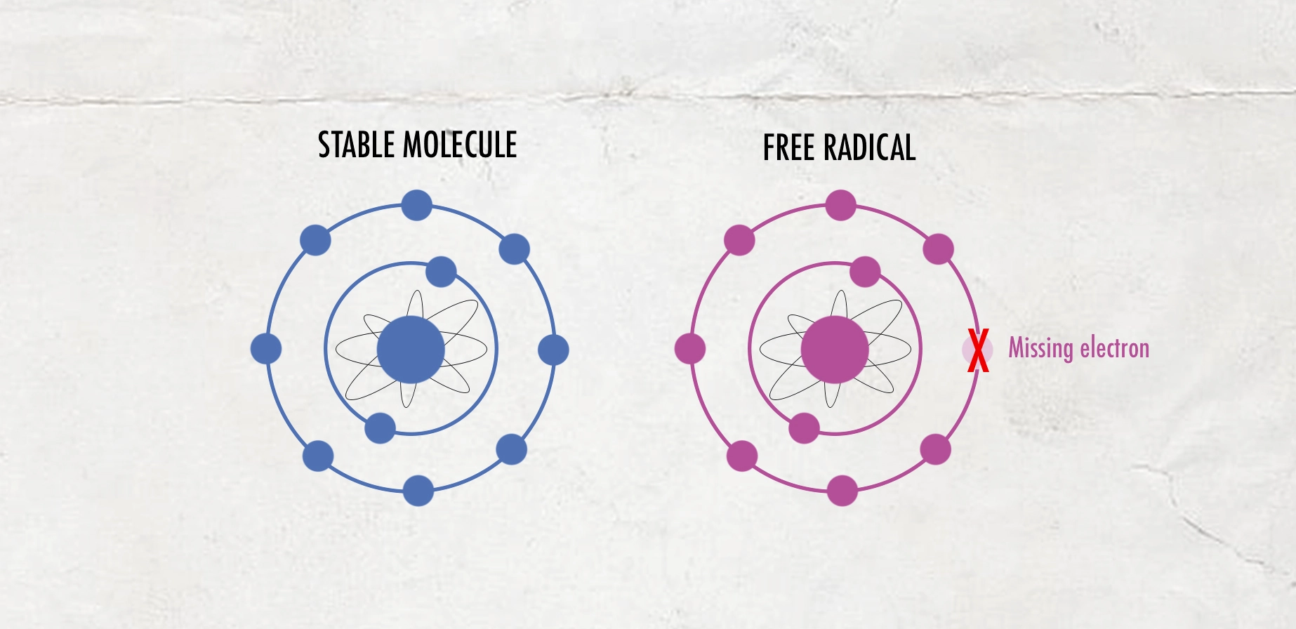 Stable molecule and free radical